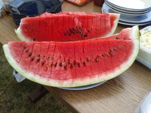 20160723_180755_original